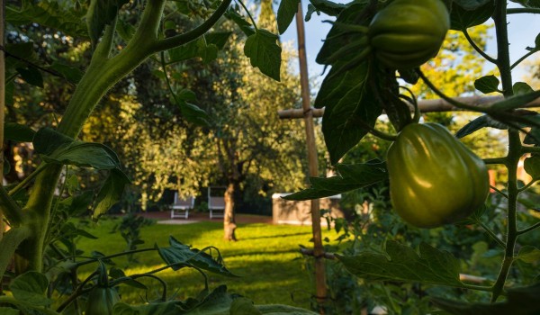 dsc3137-ok-115.jpeg
